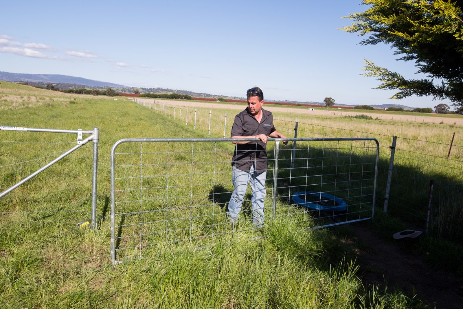 Property owner at a farm gate on a small acreage block