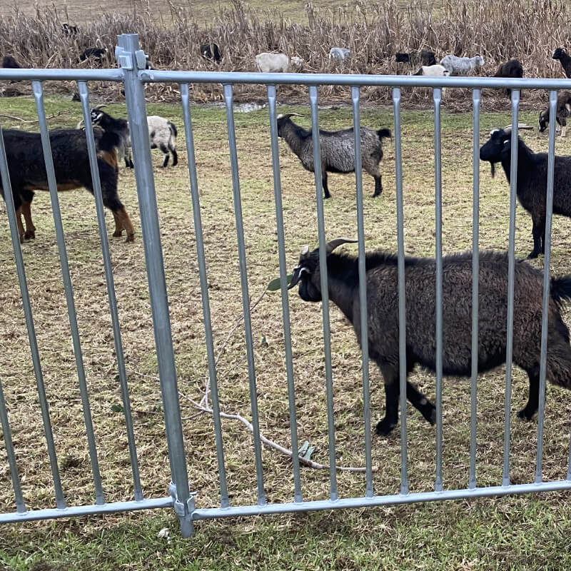 FS-5000 Temporary Fence Panel
