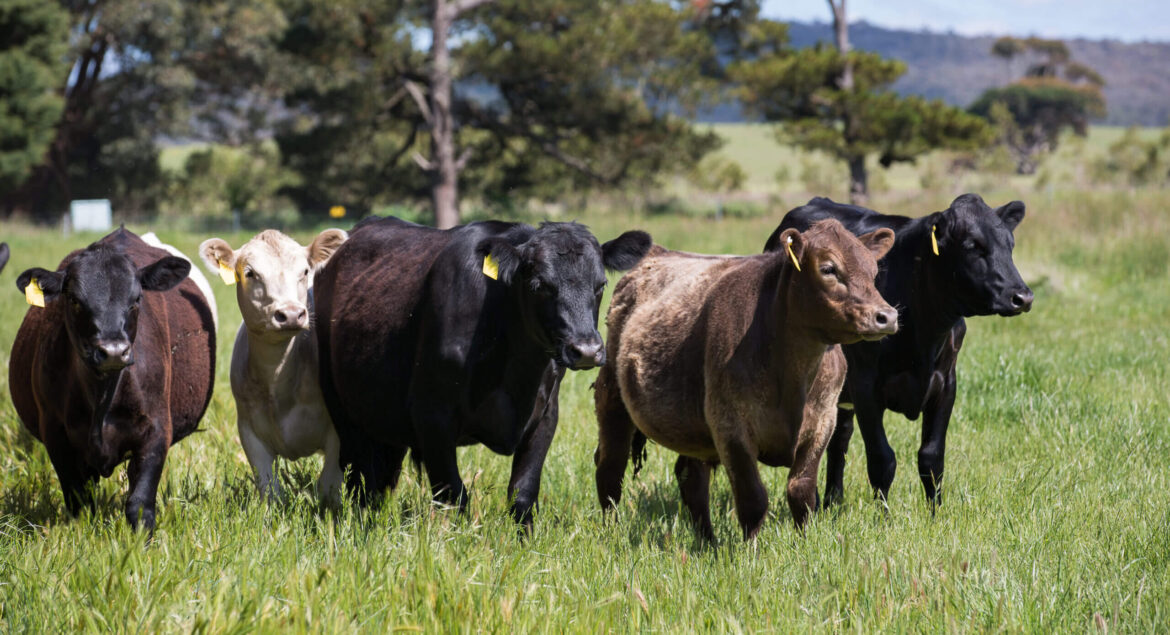 according to the australian government department of agriculture post image