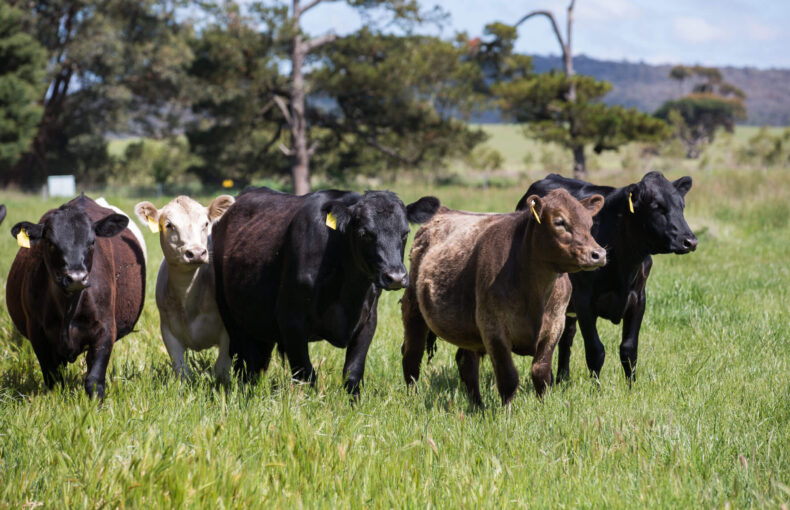 according to the australian government department of agriculture post image